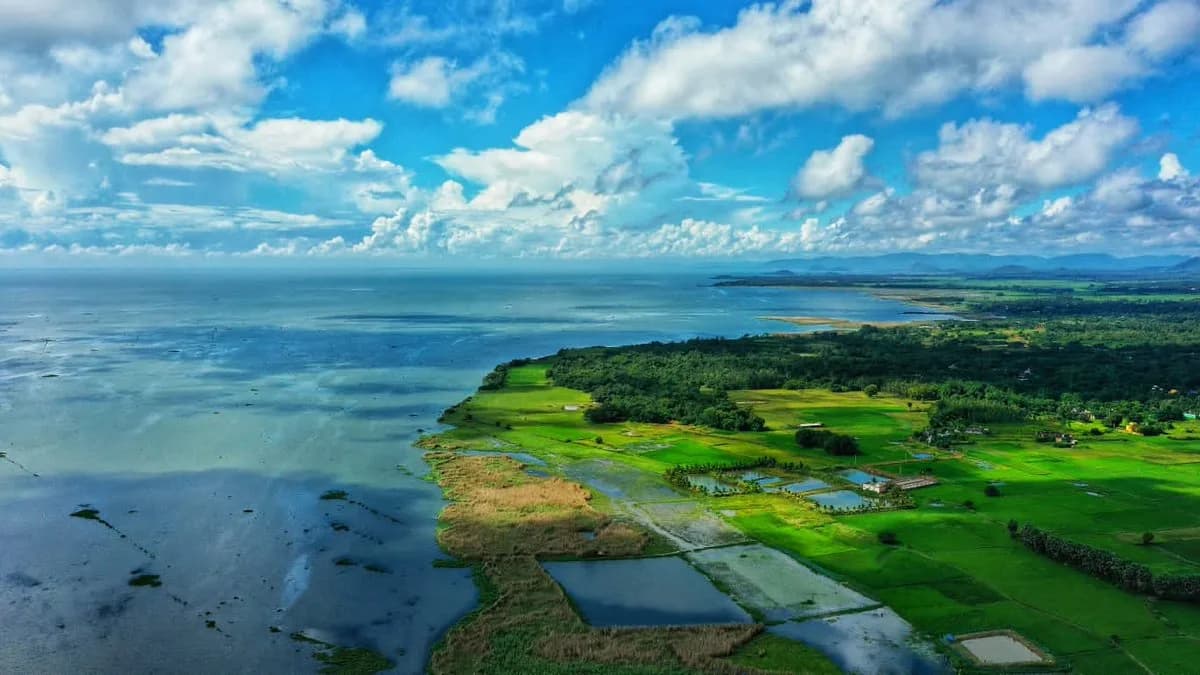 Chilika Lake, Odisha
