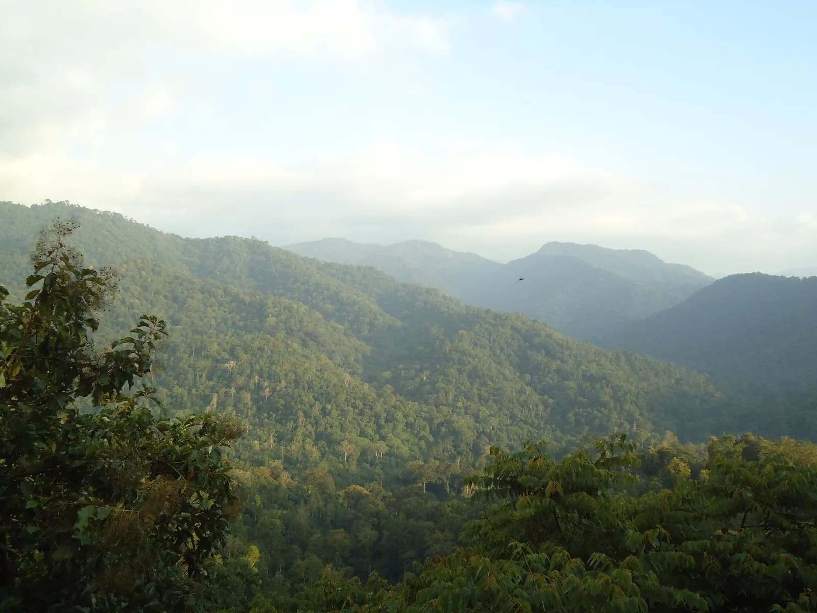 Sabarimala Sri Ayyappa Temple
